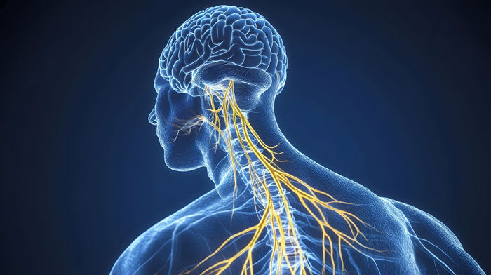 treatment of nervous system diseases using CBD