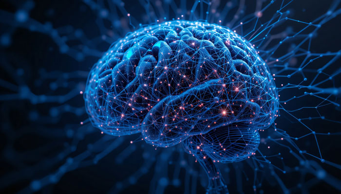 formation of new neurons